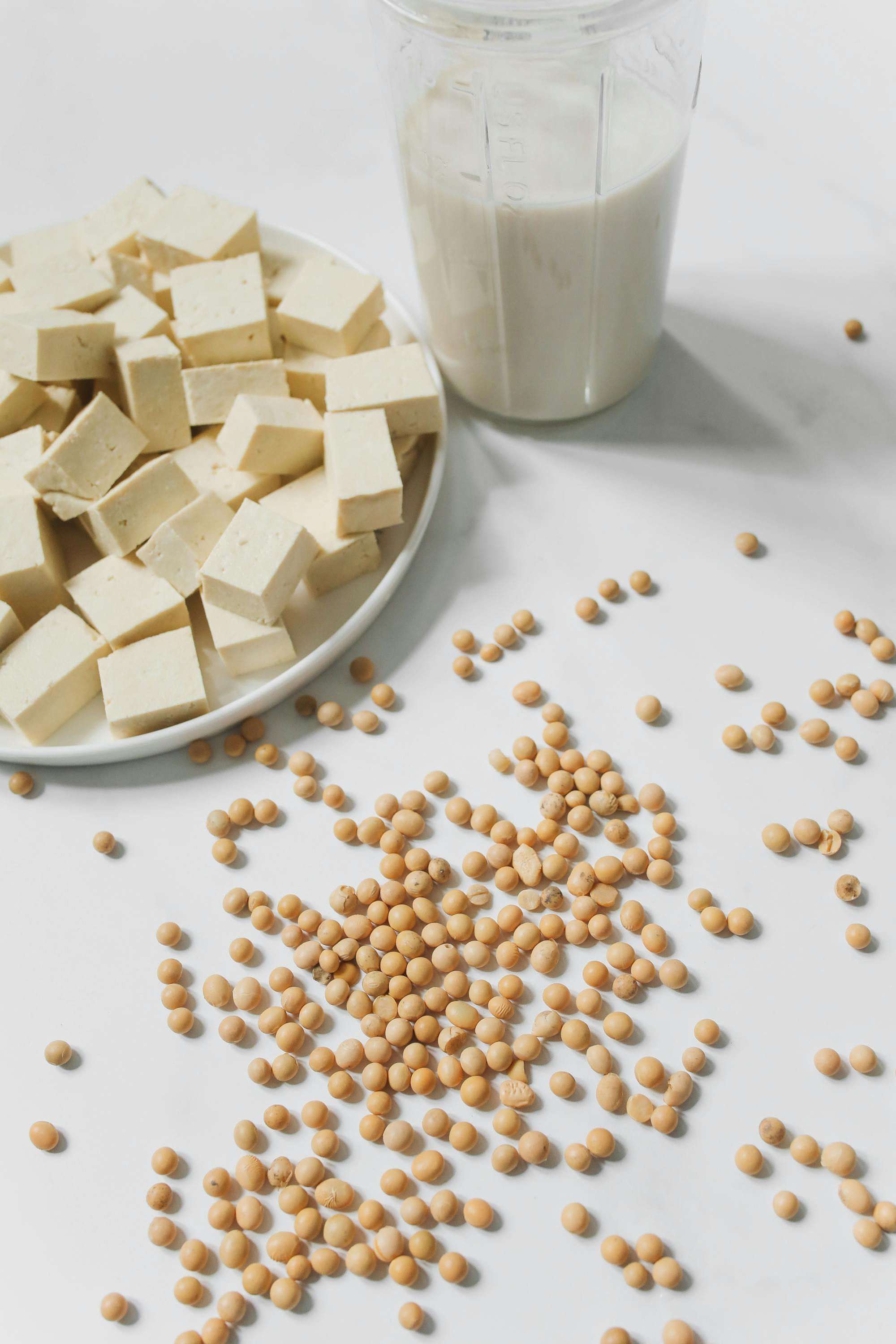 Aadhiyan Corp - Protein Foods